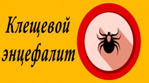 Клещевой энцефалит 